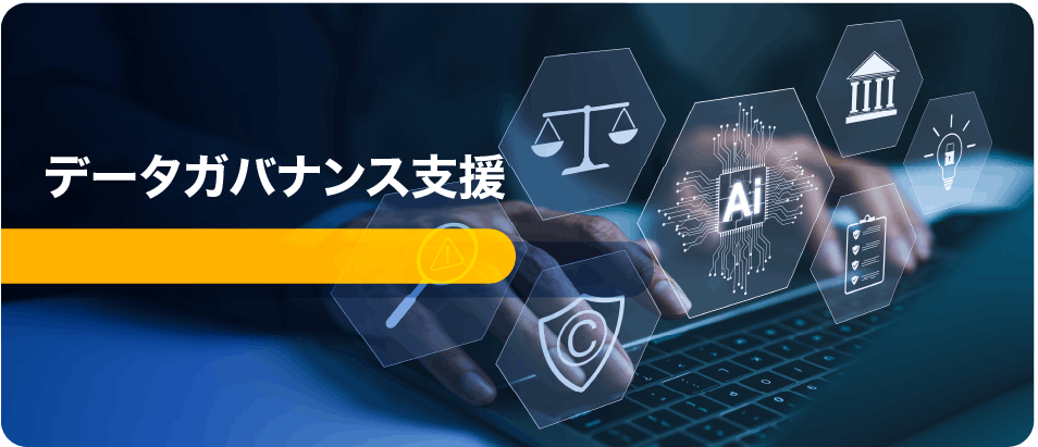 データガバナンス支援