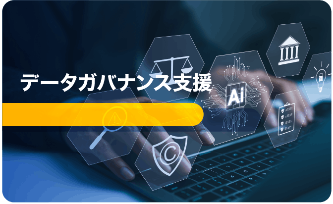 データガバナンス支援